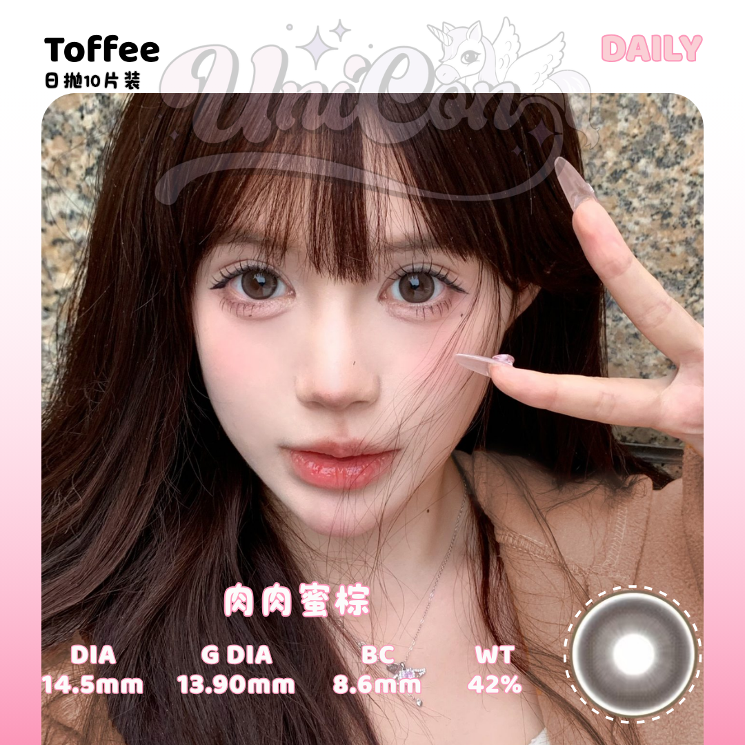 PRE-ORDER Toffee 肉肉蜜棕 DAILY