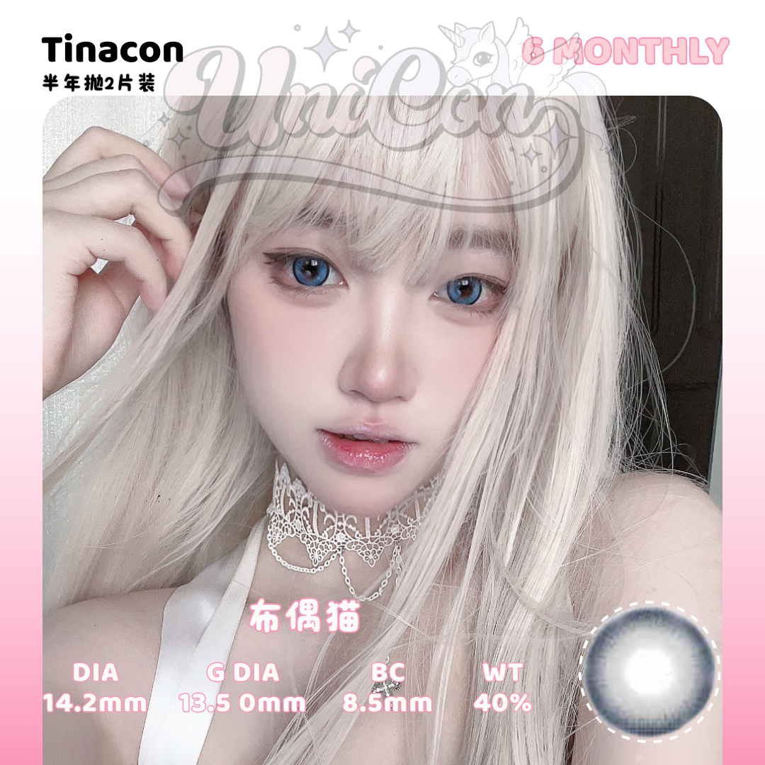 PRE-ORDER Tinacon 布偶猫 6 MONTH