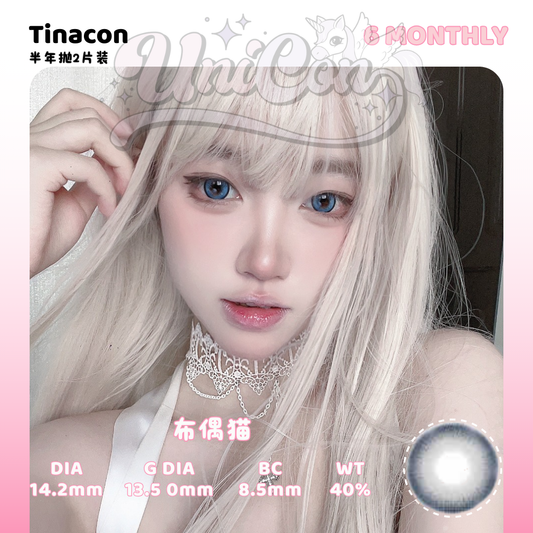 PRE-ORDER Tinacon 布偶猫 6 MONTH