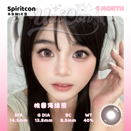 PRE-ORDER Spiritcon 桃圈海绵熊 6 MONTH