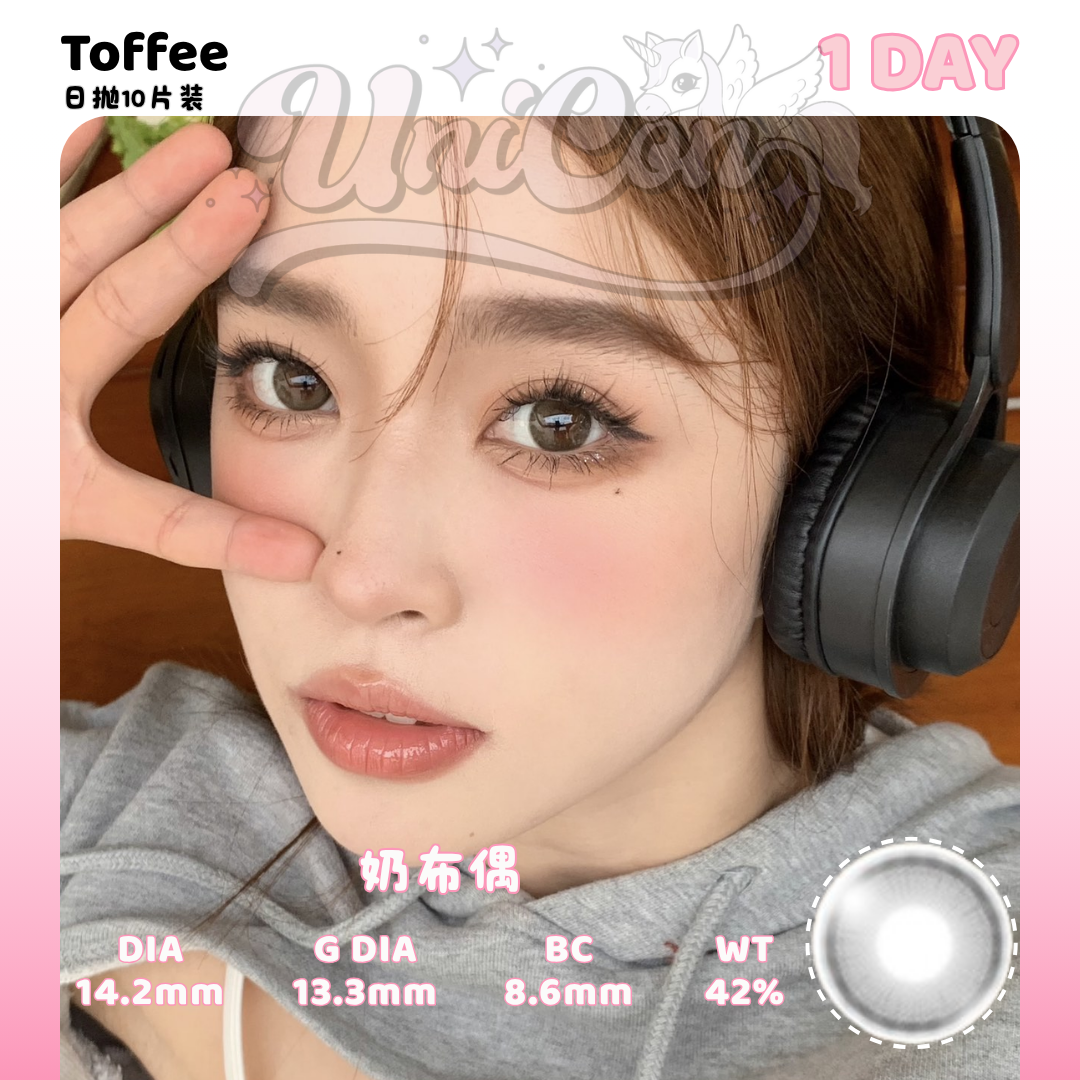 READY STOCK Toffee 奶布偶 1 DAY