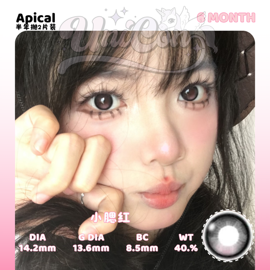 PRE-ORDER Apical 小腮红 6 MONTH