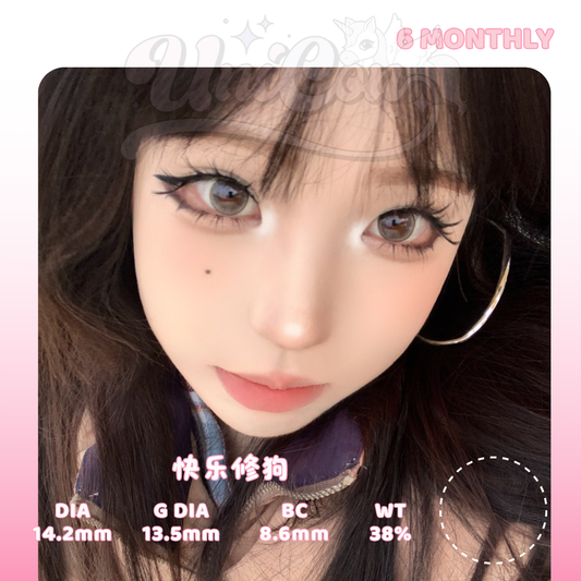 READY STOCK Tinacon 快乐修狗 6 MONTH