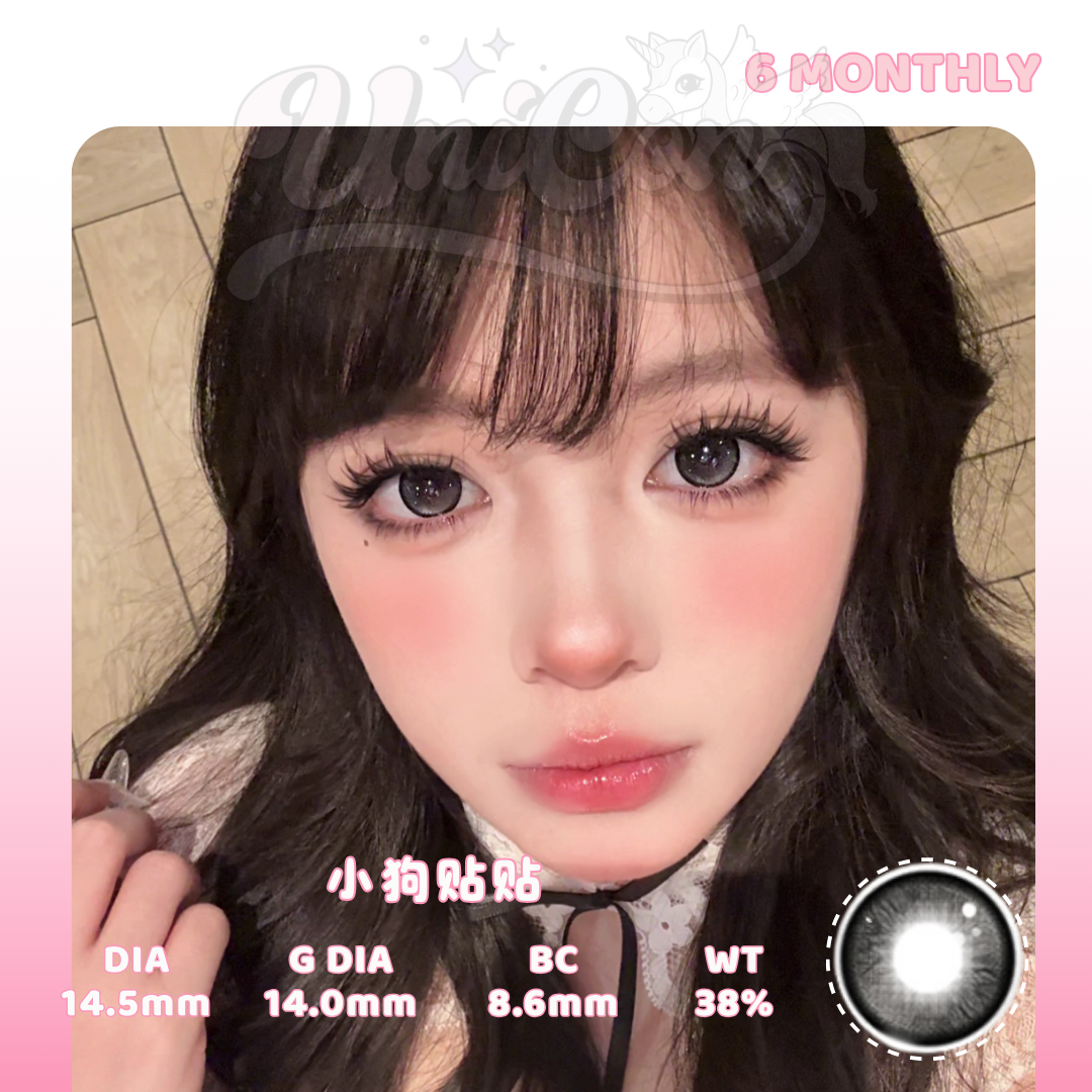 READY STOCK Tinacon 小狗贴贴 6 MONTH
