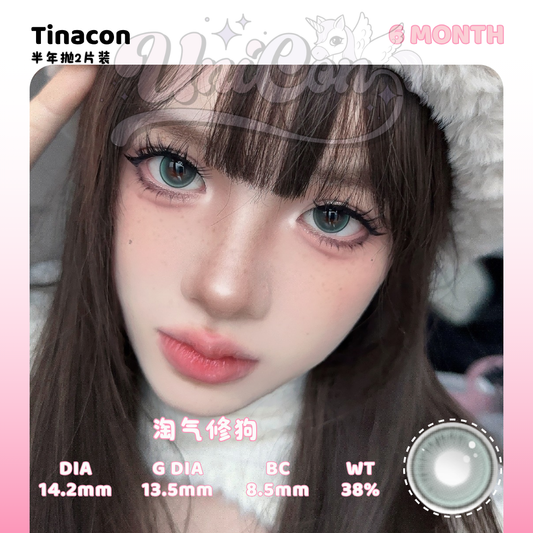PRE-ORDER Tinacon 淘气修狗 6 MONTH