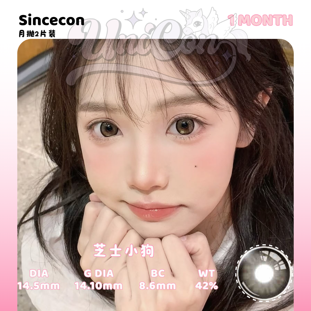 PRE-ORDER Macycon 芝士小狗 1 MONTH
