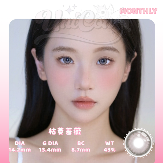 READY STOCK Sincecon 枯萎蔷薇 1 MONTH